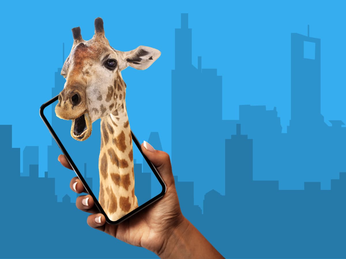 Augmented Reality webinar recap