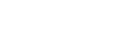 Budlight Seltzer